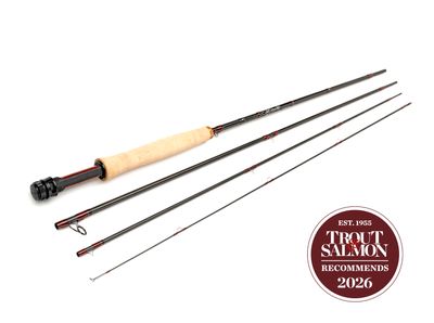 Scott GT-series 8'10" #6 - Image 2